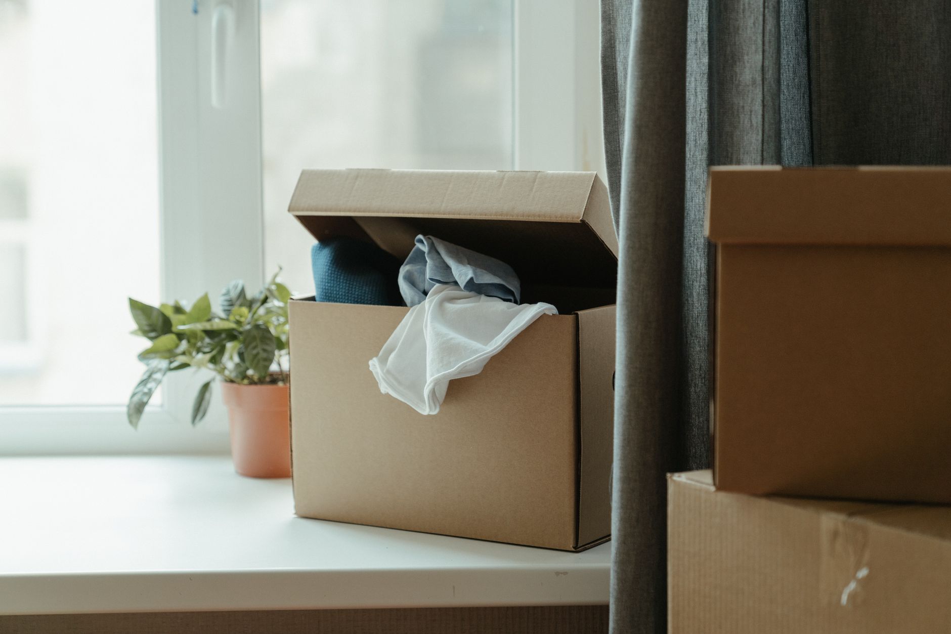 Move-In / Move-Out Clean